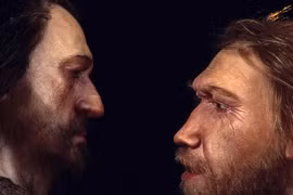 Giật mình bằng chứng người Neanderthal giao phối với người hiện đại