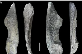 Sốc nặng công cụ 1,5 triệu tuổi khiến lịch sử phải viết lại