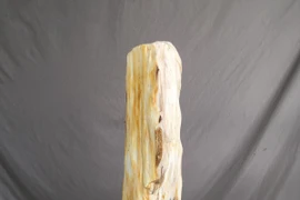 Xuýt xoa loại gỗ hóa ngọc hàng trăm tỷ đồng, đại gia ráo riết săn 