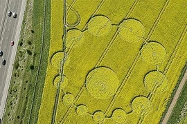 Vòng tròn khổng lồ ở Anh được giải mã: Liên quan người ngoài hành tinh? 