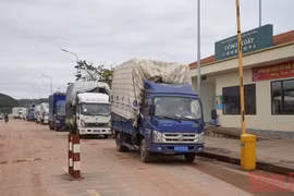 Xuất khẩu 140 tấn thủy sản qua Lối mở Km3+4 Hải Yên, Móng Cái