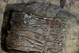 Phát hãi ngôi mộ tập thể 5.000 tuổi chứa hài cốt bị chặt đầu