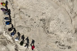 Phát hiện dấu chân 1,5 triệu tuổi, hé lộ bí mật tổ tiên loài người