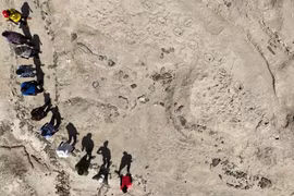 Phát hiện dấu chân 1,5 triệu tuổi, hé lộ bí mật tổ tiên loài người