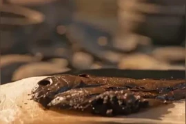 Tìm thấy đàn cá khô trong mộ cổ, chuyên gia hô lớn "báu vật Trời ban"