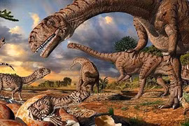 Loài khủng long sẽ khủng hơn nếu không gặp họa tuyệt chủng 