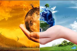 Chuyên gia tiên đoán: " Đại tuyệt chủng hàng loạt có thể xảy ra năm 2100"?