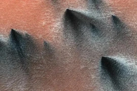 "Nhện sao Hỏa” bất ngờ xuất hiện, chuyên gia lập tức giải mã 