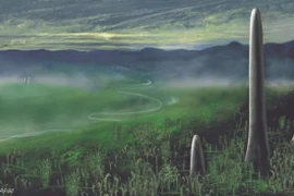 Sự thật chấn động về “quái vật” không chân tay cao 8m