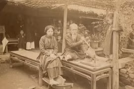 Bệnh dịch thời vua nào khiến hơn nửa triệu người tử vong?