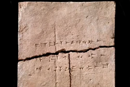 Tách ADN từ viên gạch 3.000 tuổi, lộ bí mật chấn động cả TG 