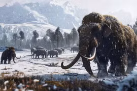 Những loài động vật tuyệt chủng có thể sớm được hồi sinh