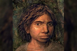 Giải mã bất ngờ về tổ tiên của loài người