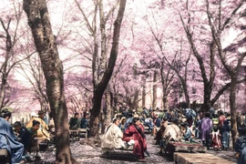 Ảnh hiếm Nhật Bản, Trung Quốc hơn 200 năm trước được “tô màu“