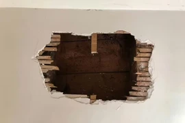 Sốc nặng trước 'thủ phạm' gây ra âm thanh lạ trong tường