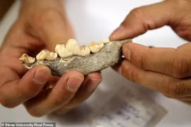 Bất ngờ về hài cốt trong mộ cổ hơn 8.000 tuổi