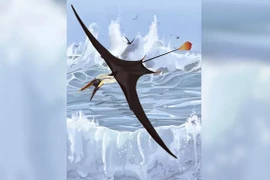 Khám phá sốc về khả năng bay lượn của thằn lằn