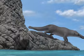 Phát hiện cá voi 4 chân 42 triệu tuổi, chuyên gia sửng sốt