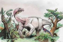 Soi hóa thạch kỷ Jura, hé lộ quái thú từng lang thang trên Trái đất