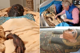 Nóng: Xác ướp nữ Ai Cập 2.600 tuổi bị đâm chết bằng rìu