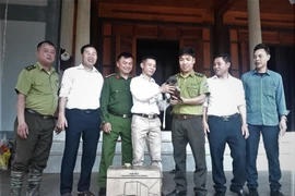 Tận mục "nữ hoàng của loài linh trưởng" VQG Vũ Quang mới tiếp nhận 