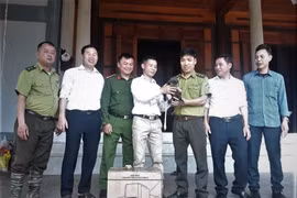 Tận mục "nữ hoàng của loài linh trưởng" VQG Vũ Quang mới tiếp nhận 