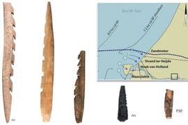 Bất ngờ những vũ khí làm từ xương người 11.000 năm trước