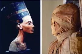 Xôn xao vụ tìm thấy xác ướp nữ hoàng Nefertiti