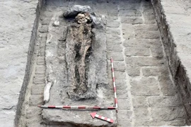 Hài cốt đeo nhẫn vàng khắc tên pharaoh Ai Cập, lai lịch gây sốc