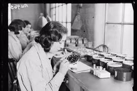 Nhói lòng sự thật chết chóc của những “cô gái radium"