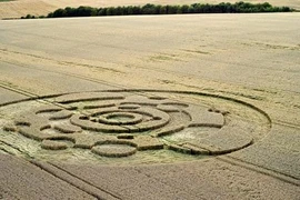 Sự thật về vòng tròn “ngoài hành tinh” từng gây xôn xao nước Anh