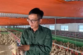 Cho vịt ngủ điều hòa, một năm thu lãi cả tỷ đồng