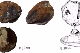 Kỳ bí hòn đá cổ hình đầu rắn kỳ dị 