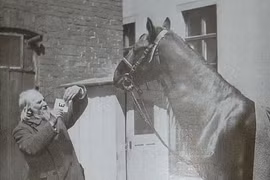 Tiết lộ nguyên nhân ngựa biết... làm toán nổi tiếng lịch sử