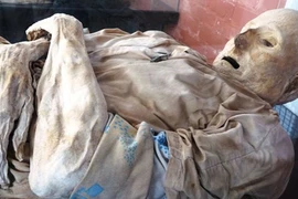 Mở nắp quan tài, sửng sốt phát hiện xác ướp tự nhiên hoàn hảo 