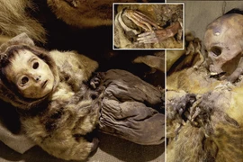 Hãi hùng xác ướp khoảng 500 tuổi bị chôn sống theo mẹ 