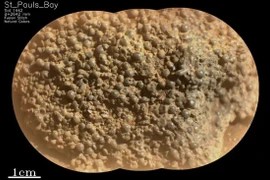 NASA phát hiện hàng trăm “trứng nhện” trên sao Hỏa... dấu hiệu sự sống? 