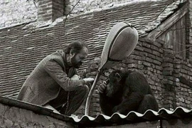 Loạt ảnh lịch sử gây tò mò về cuộc sống của người xưa