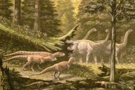 Lộ diện siêu quái thú ở “vùng đất ma cà rồng”, chuyên gia phát sốt 