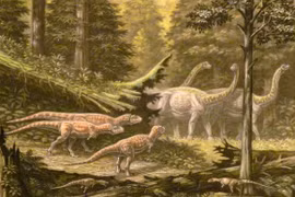 Lộ diện siêu quái thú ở “vùng đất ma cà rồng”, chuyên gia phát sốt 