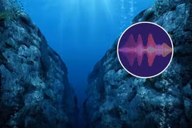 Chuyên gia giải mã nguồn gốc âm thanh bí ẩn dưới đại dương