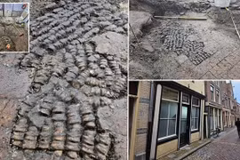 Phát hiện chấn động: Xương xếp thành hàng trong ngôi nhà cổ