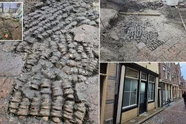 Phát hiện chấn động: Xương xếp thành hàng trong ngôi nhà cổ