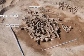 Hài cốt không đầu hé lộ sự thật tàn khốc thời nhà Hán