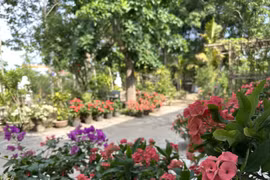 Nơi chữa lành tốt nhất chính là nhà của mẹ