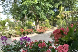 Nơi chữa lành tốt nhất chính là nhà của mẹ