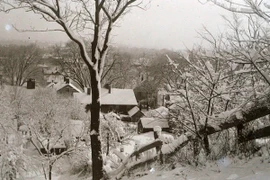 Trái đất từng có thảm kịch thiên nhiên khiến mùa Hè biến mất