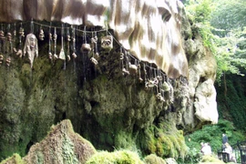 Vùng đất bị đồn biến mọi vật hóa đá như nữ thần Medusa