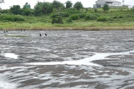 Vì sao hồ Pitch chứa hàng triệu tấn “vàng đen”?