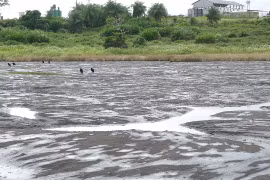 Vì sao hồ Pitch chứa hàng triệu tấn “vàng đen”?